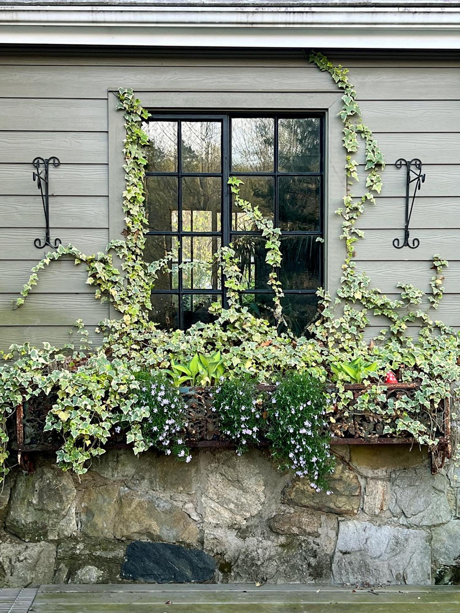 Studio Guest Suite In Forest Cottage Tryon Exterior foto